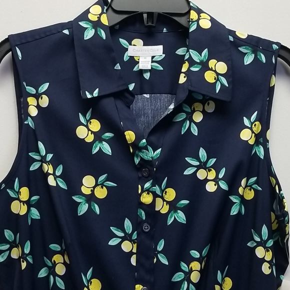 Charter Club Navy with yellow Lemons A-line Dress - Picture 2 of 7